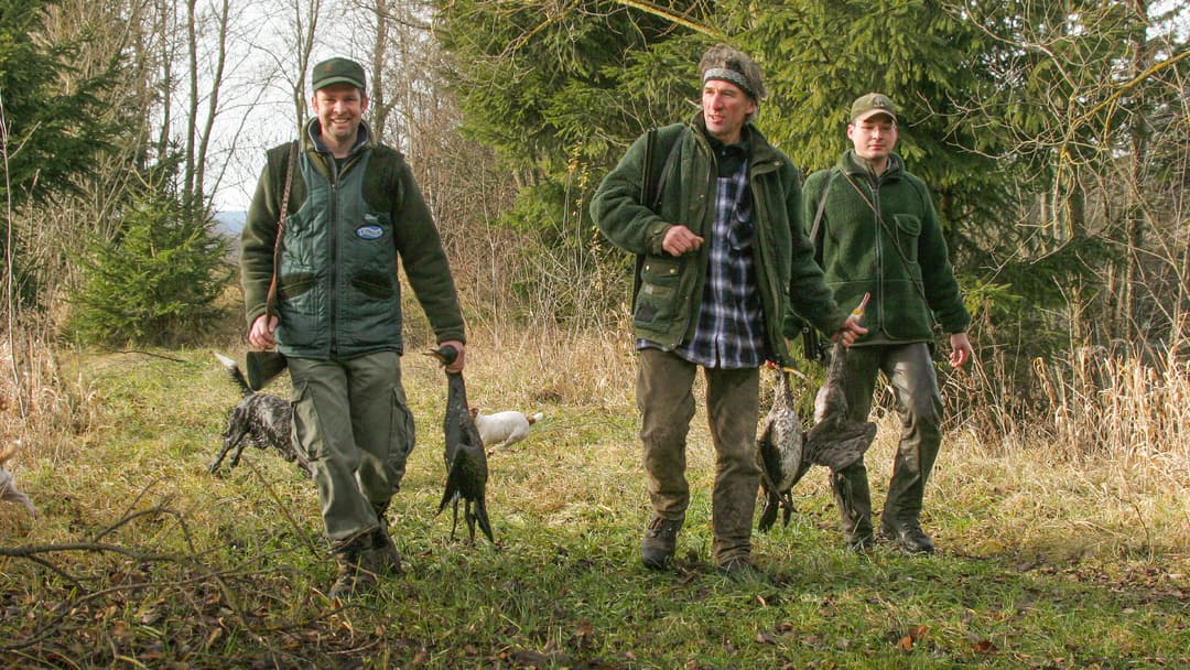 Erstens kommt es anders …