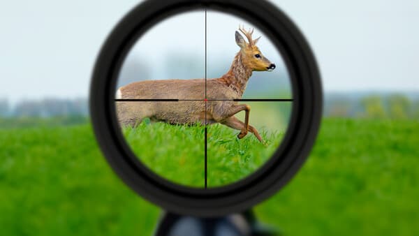 Das Glas für alle Fälle