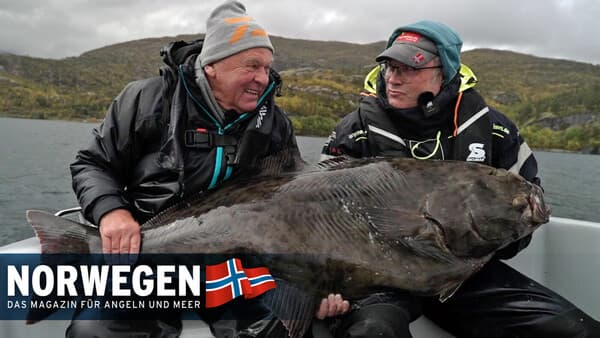 Heiße Eisen am Gratangenfjord