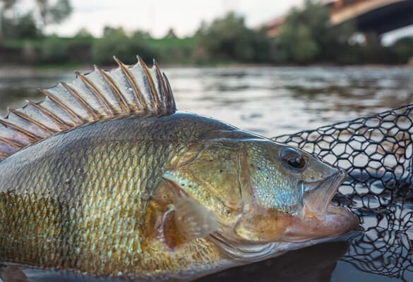 Tempo und Stillstand