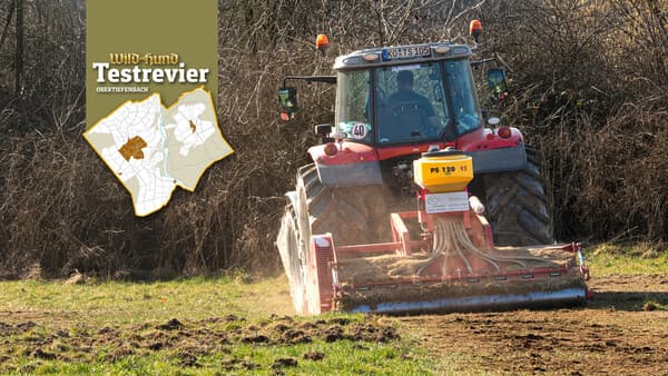 Saumäßige Schäden