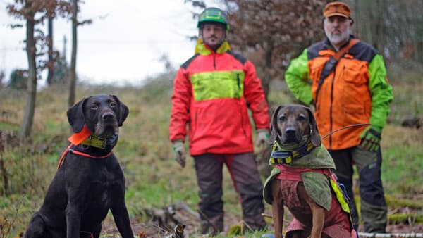 Tierschutz durch Teamwork