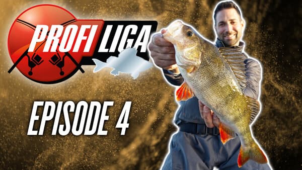 Profi-Liga Barsch: Folge 4