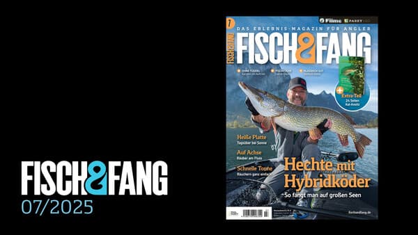 FISCH & FANG 07/2025
