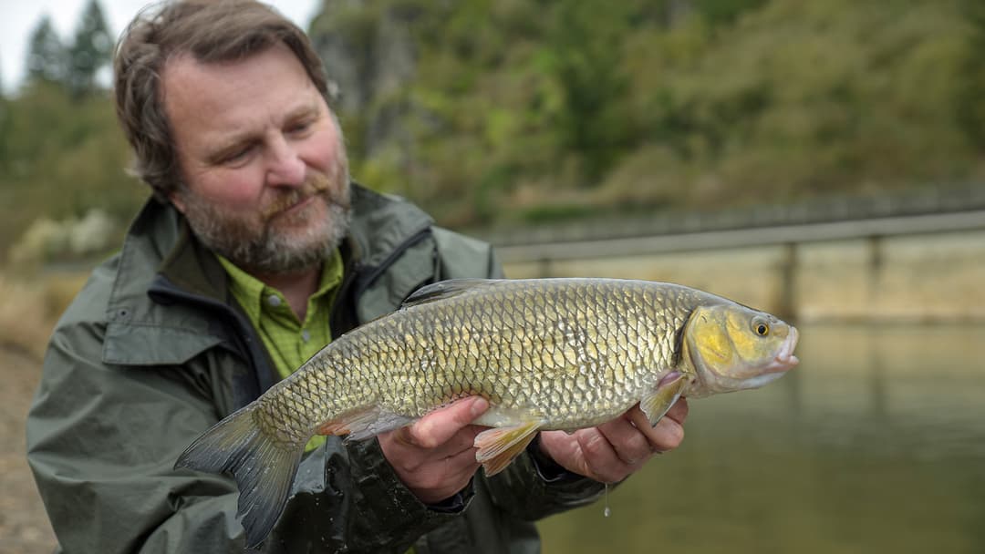 Drei Posen für den Herbst