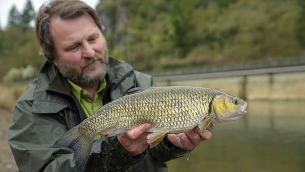 Drei Posen für den Herbst