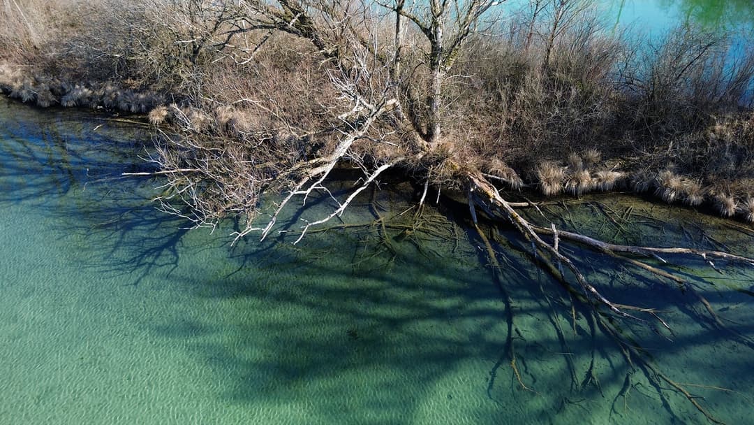 Aus der Fischadler-Perspektive