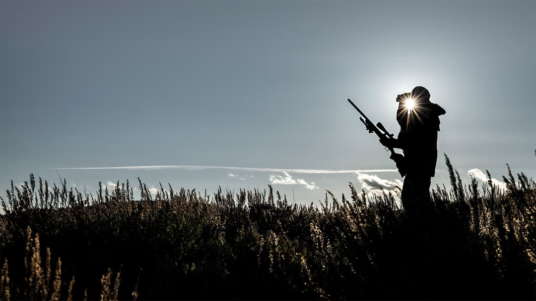 Ehrliche Jagd auf pfeilschnelle Landsäuger