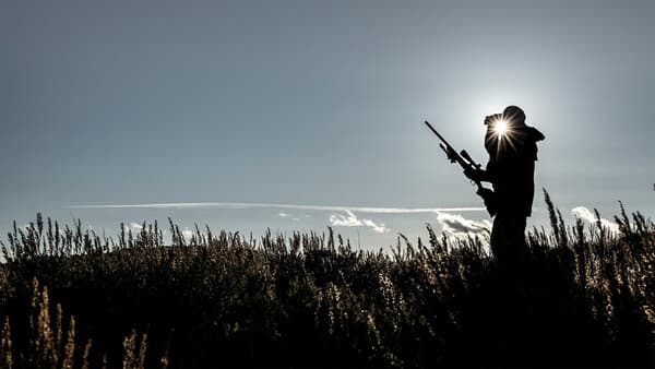 Ehrliche Jagd auf pfeilschnelle Landsäuger
