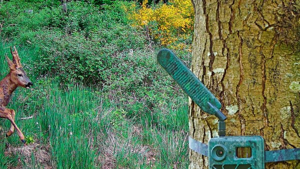 Ja wo laufen sie denn?