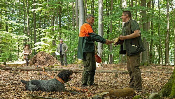 Die Stop-and-Go-Methode