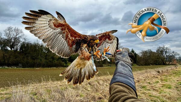 Der Falkner-jagdschein