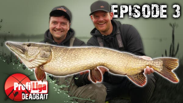 Profi-Liga Deadbait: Folge 3