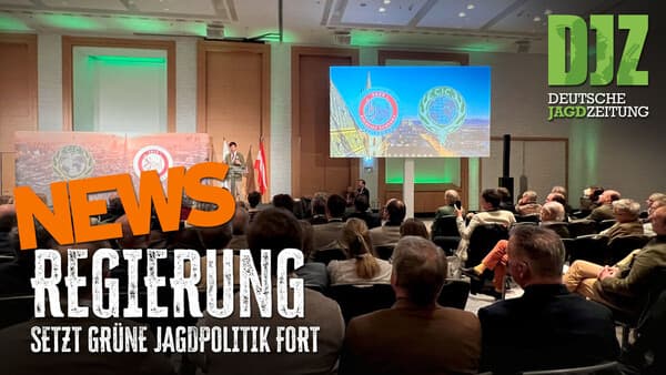 CIC-Aus, Feldverwüstung und eine reisefreudige Jagdhündin | DJZ News
