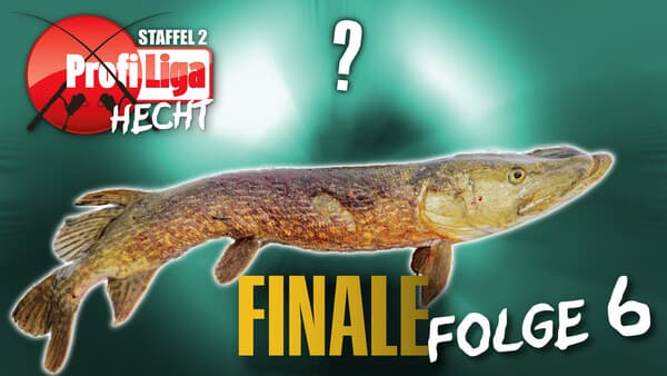 Profi-Liga Hecht 2025: Folge 6