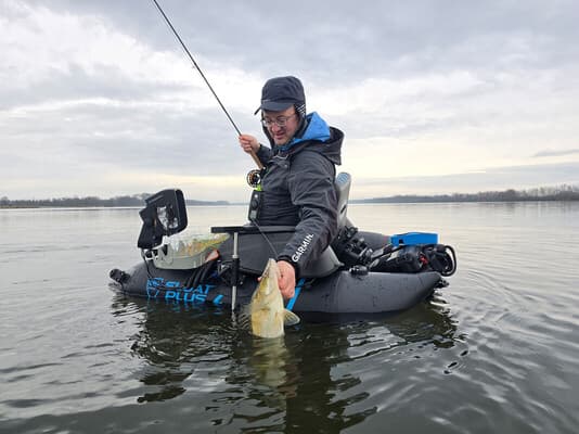 Vampire am helllichten Tag