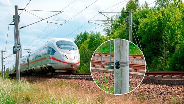 Pfiff warnt Wild vor Zug