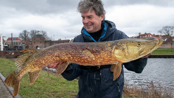 Der Raubfischpionier