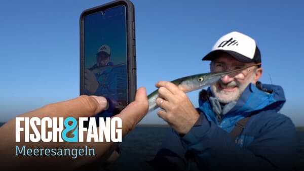 Zielfisch (nicht ganz) nach Plan