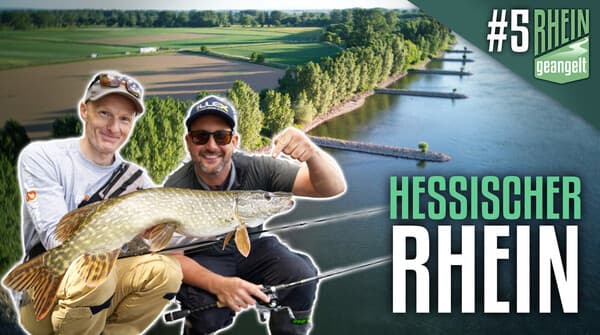 RHEINgeangelt: Der hessische Rhein