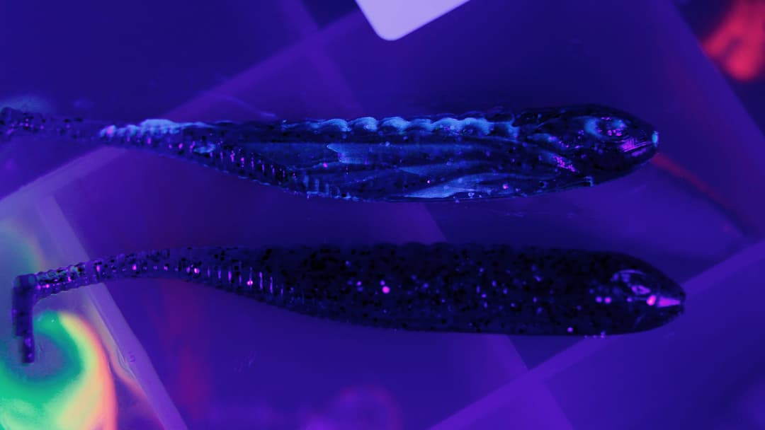 Eye-Catcher für Räuber