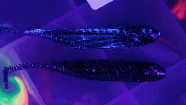 Eye-Catcher für Räuber