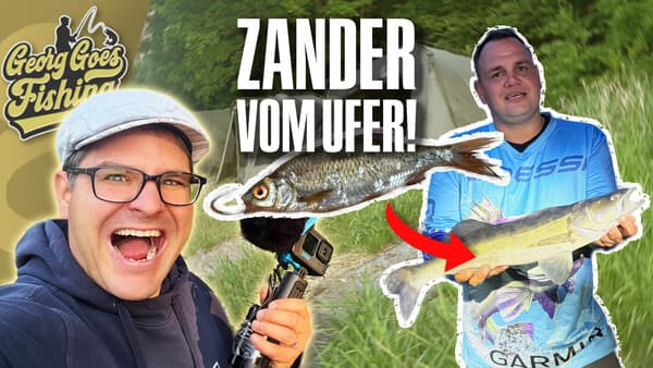 Georg goes Fishing: Zander vom Ufer