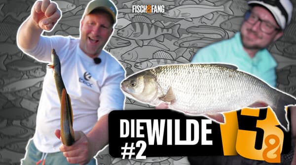 Die Wilde 13: Folge 2