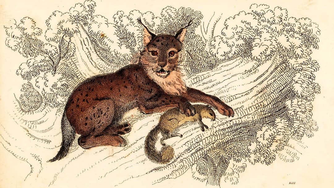 Blutdürstige Phantome 