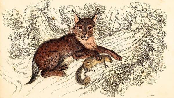 Blutdürstige Phantome 