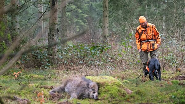 „Italien-ASP“ in NRW