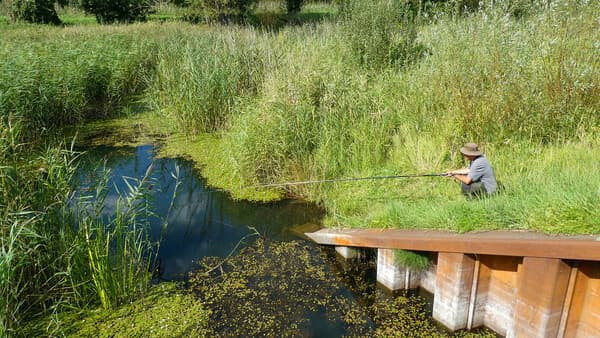 Sommerspass am kleinen Graben