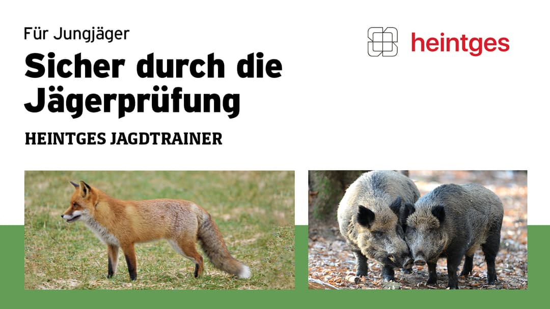 Sicher durch die Jägerprüfung