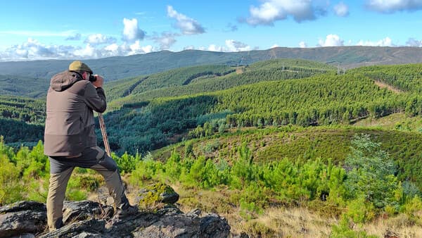 Portugisischer Perückenbock