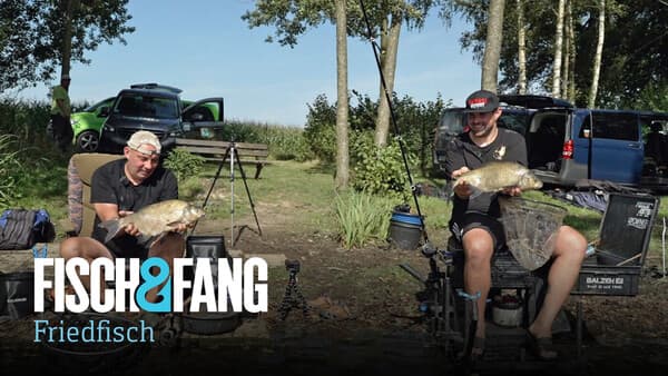 Bunte Beute beim Feedern