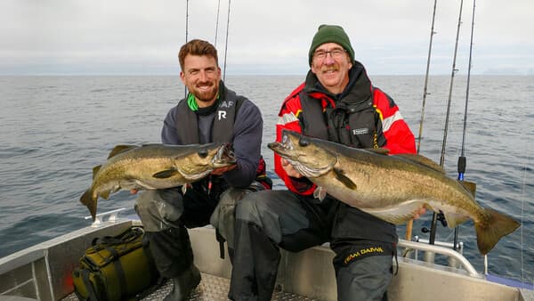 Flexibel ist   Trumpf