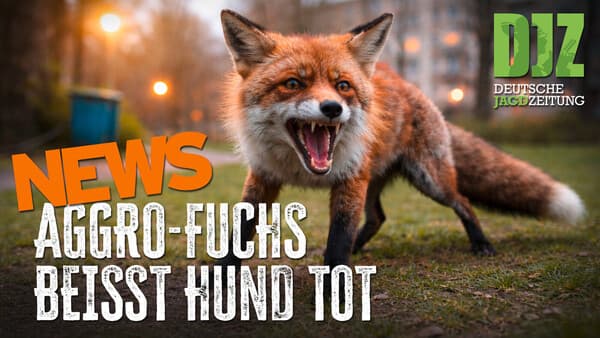 DJZ News 22. April 2026– Mittwochsausgabe