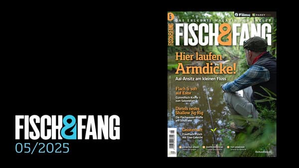 FISCH & FANG 05/2025