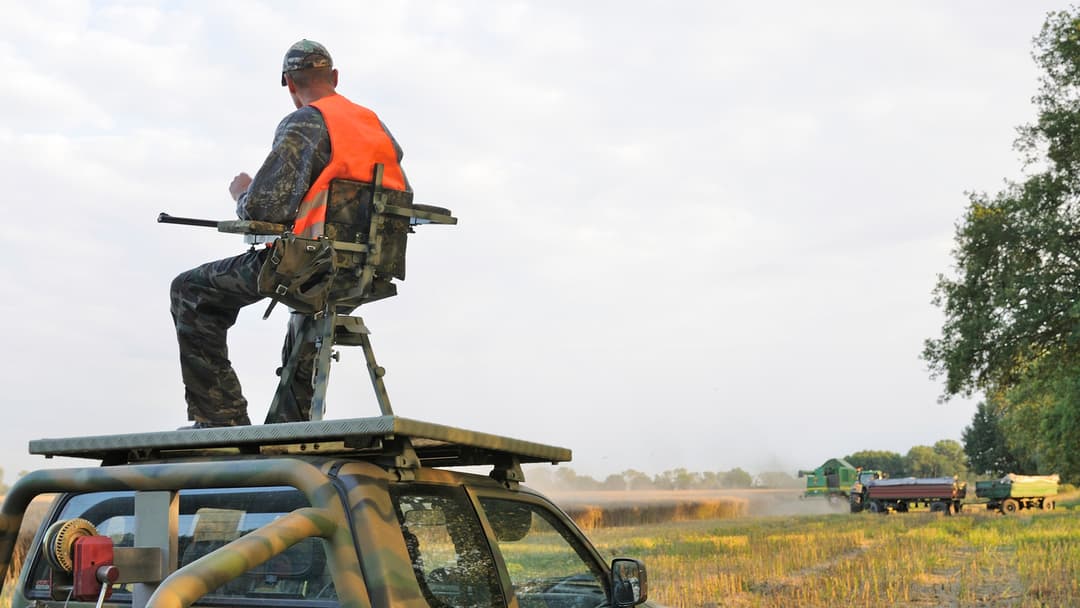 Was kann, darf, muss?