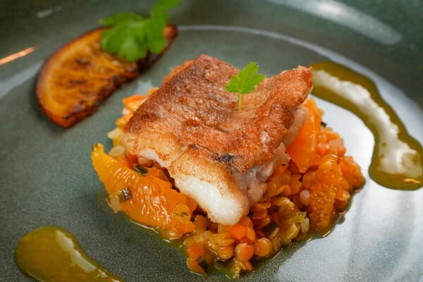 Rotbarsch á l’orange auf buntem Linsengemüse