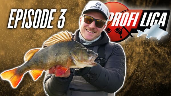 Profi-Liga Barsch: Folge 3