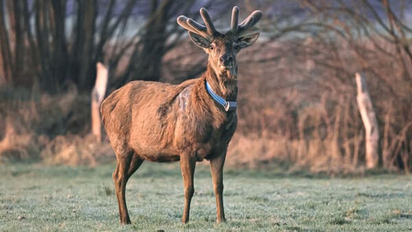 Wandern und schieben