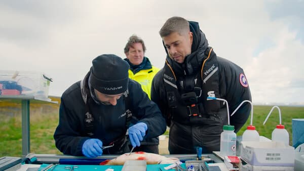 Auf der Spur der Großbarsche: Projekt Perch-Track