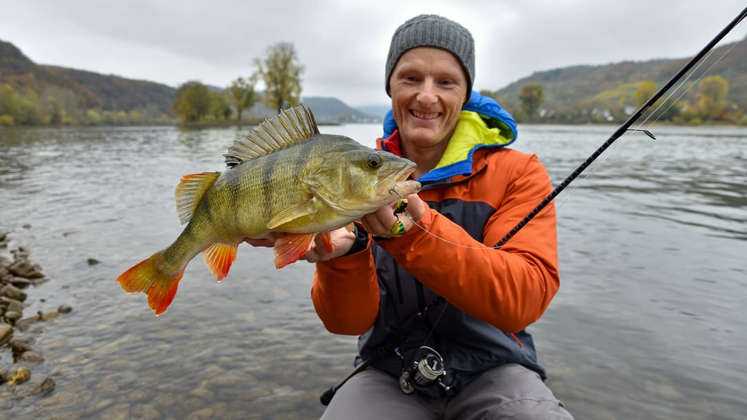 Sind die Barsche schon da?