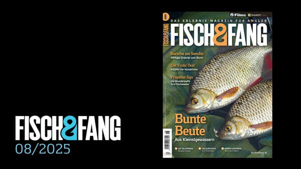 FISCH & FANG 08/2025
