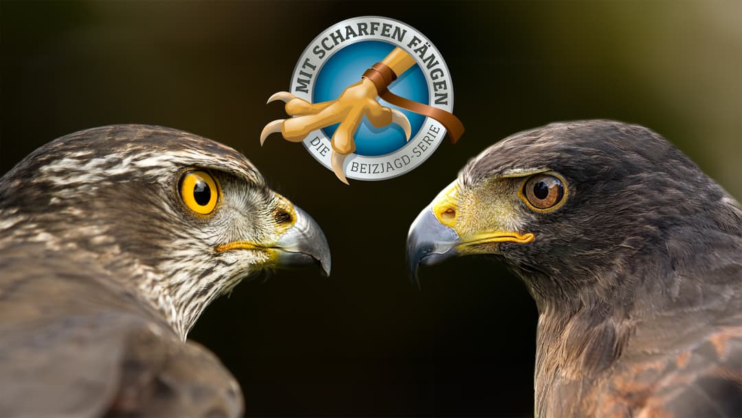 Zwei Arten, zwei Welten