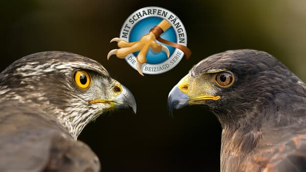 Zwei Arten, zwei Welten