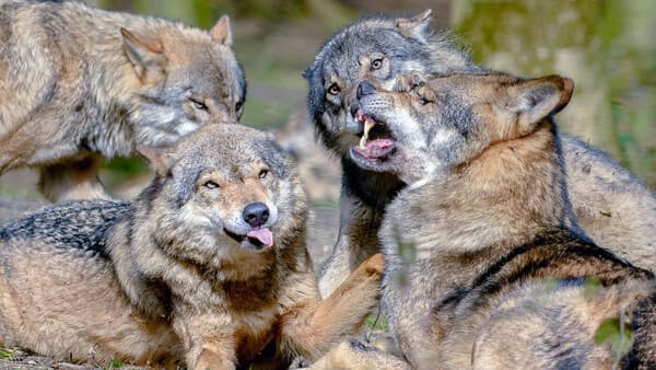 Über die Grenzen hinaus ...