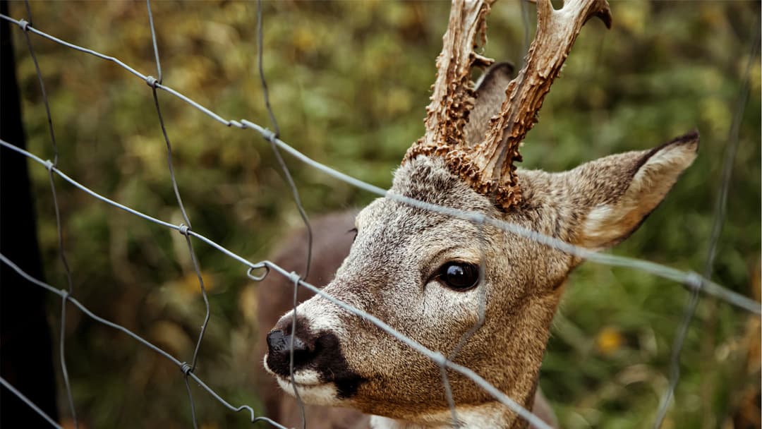 Was weg muss, muss weg!