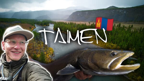 Zielfisch Taimen: König des Shishged